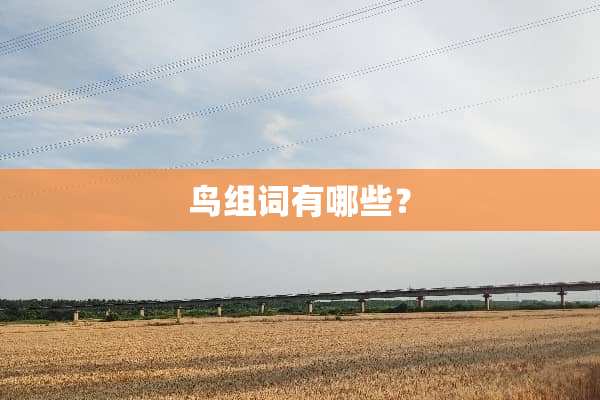 鸟组词有哪些？