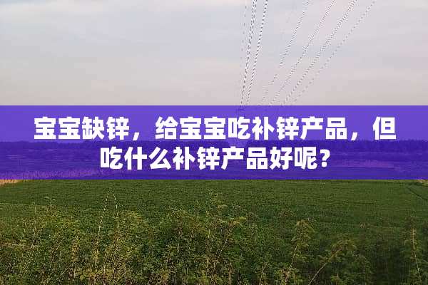 宝宝缺锌，给宝宝吃补锌产品，但吃什么补锌产品好呢？