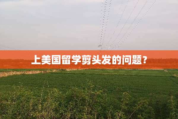 上美国留学剪头发的问题？