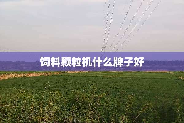 饲料颗粒机什么牌子好