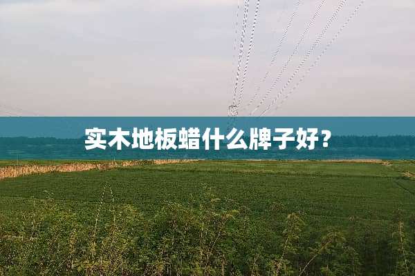 实木地板蜡什么牌子好？