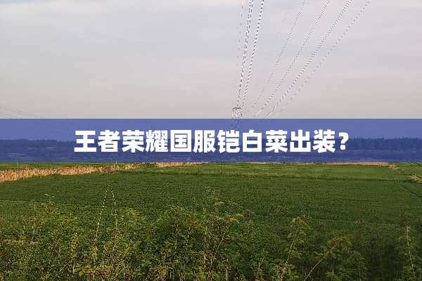 王者荣耀国服铠白菜出装？
