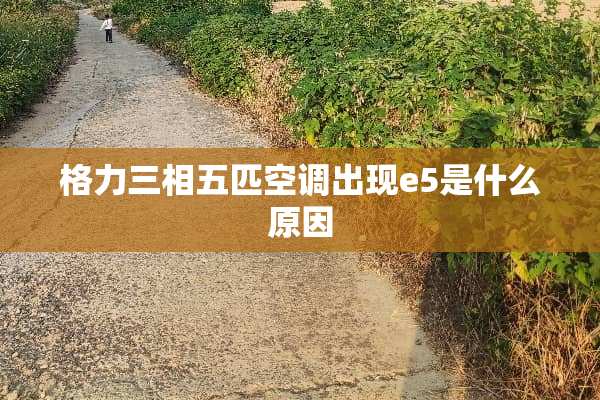 格力三相五匹空调出现e5是什么原因