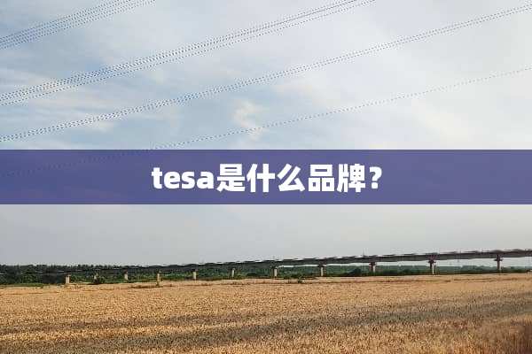 tesa是什么品牌？