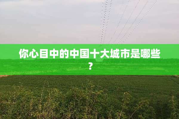 你心目中的中国十大城市是哪些？