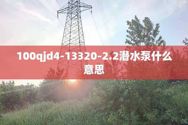 100qjd4-13320-2.2潜水泵什么意思