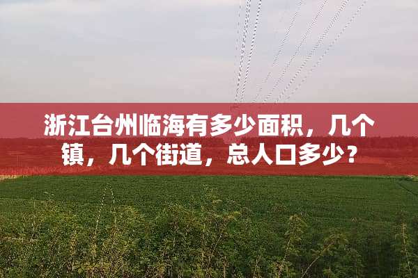 浙江台州临海有多少面积，几个镇，几个街道，总人口多少？
