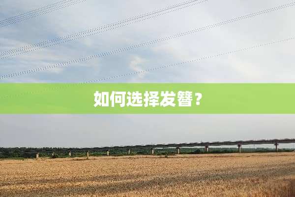 如何选择发簪？