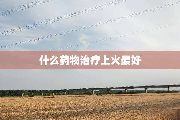 什么药物治疗上火最好