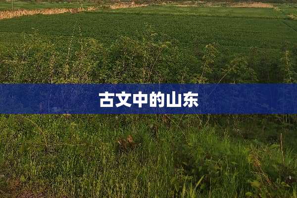古文中的山东