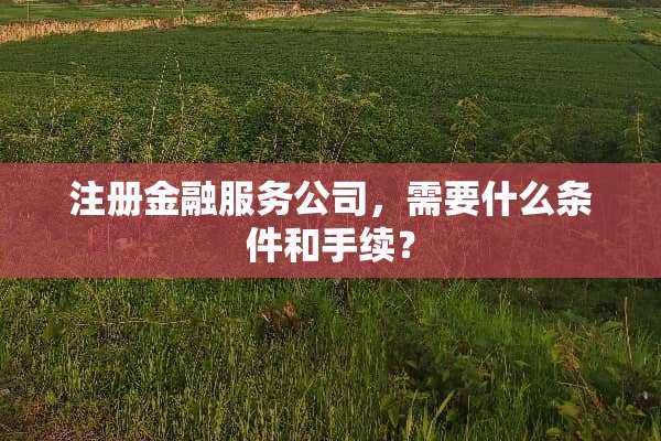 注册金融服务公司，需要什么条件和手续？