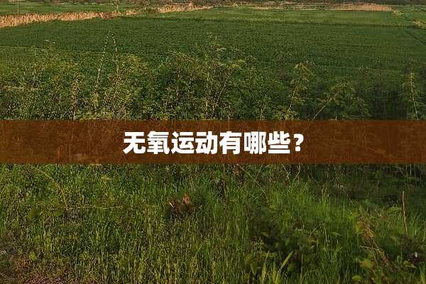 无氧运动有哪些？
