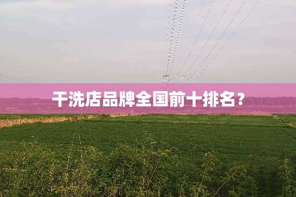 干洗店品牌全国前十排名？