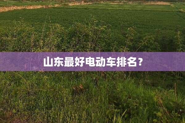 山东最好电动车排名？