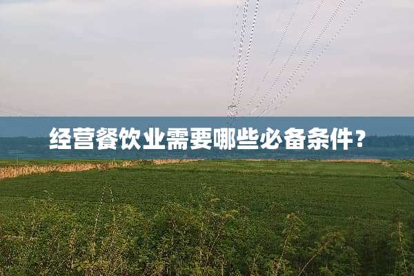 经营餐饮业需要哪些必备条件？