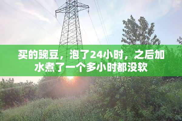 买的豌豆，泡了24小时，之后加水煮了一个多小时都没软