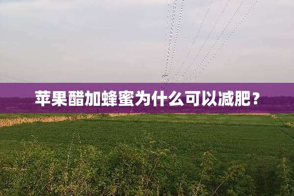 苹果醋加蜂蜜为什么可以减肥？