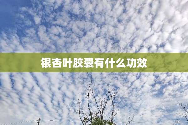 银杏叶胶囊有什么功效