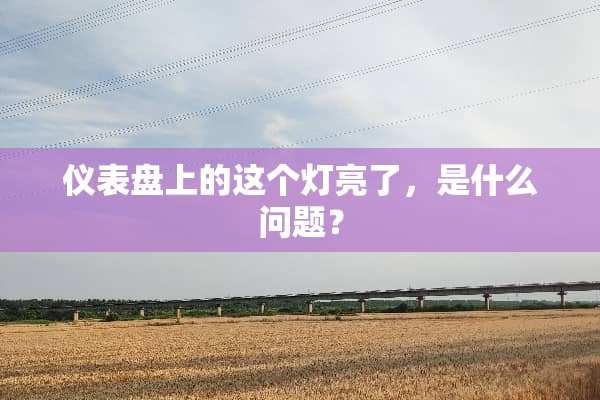 仪表盘上的这个灯亮了，是什么问题？