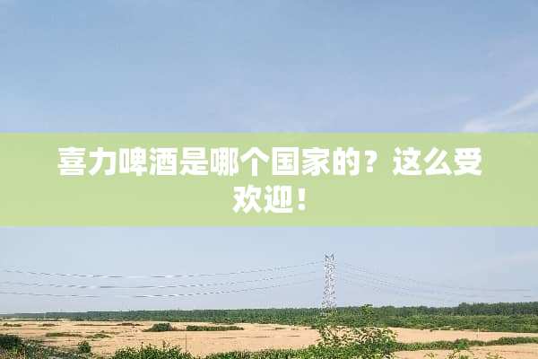 喜力啤酒是哪个国家的？这么受欢迎！