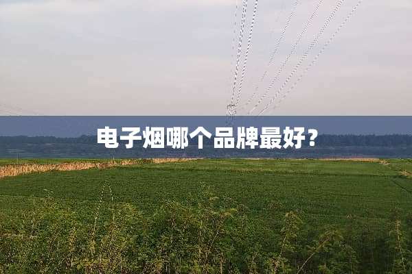电子烟哪个品牌最好？