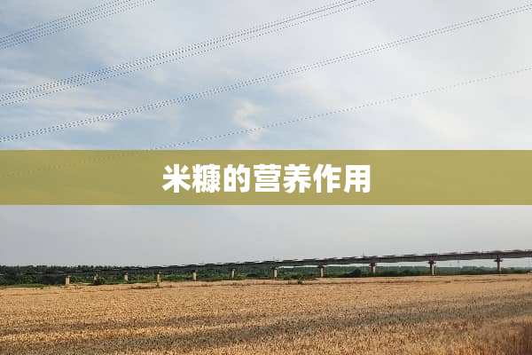 米糠的营养作用
