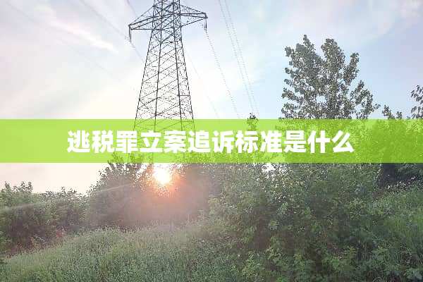 **罪立案追诉标准是什么