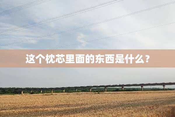 这个枕芯里面的东西是什么？