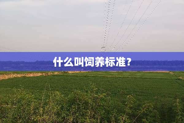 什么叫饲养标准？
