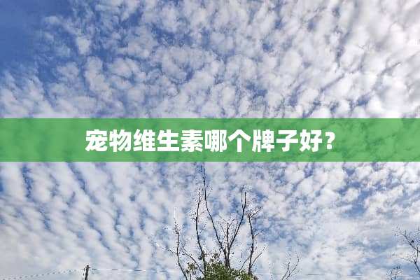 宠物维生素哪个牌子好？