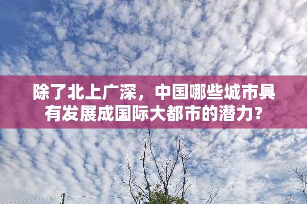 除了北上广深，中国哪些城市具有发展成国际大都市的潜力？