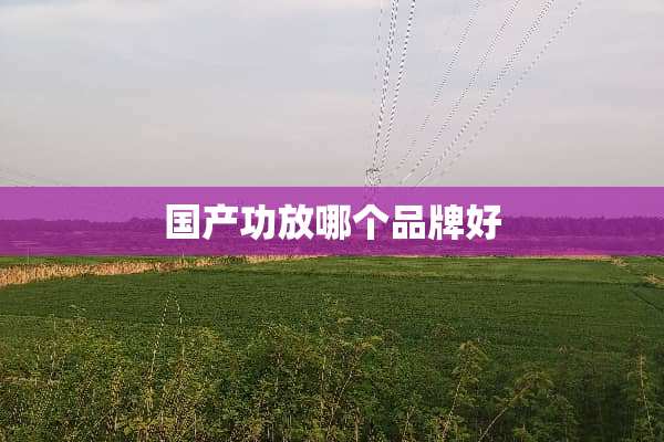 国产功放哪个品牌好