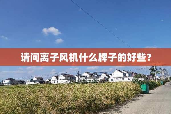 请问离子风机什么牌子的好些？
