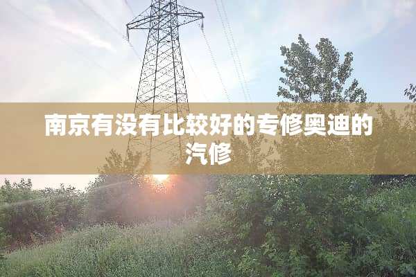 南京有没有比较好的专修奥迪的汽修