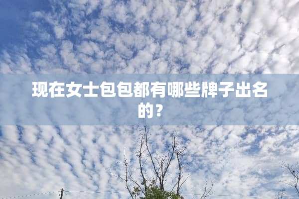 现在女士包包都有哪些牌子出名的？
