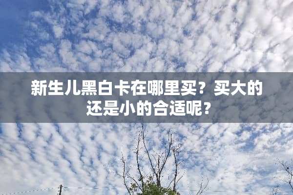 新生儿黑白卡在哪里买？买大的 还是小的合适呢？