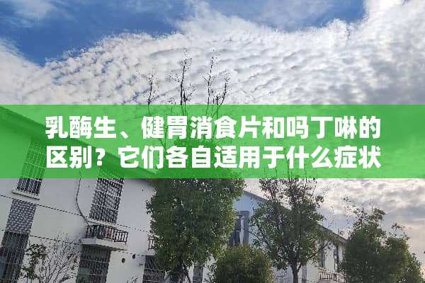 *酶生、健胃消食片和吗丁啉的区别？它们各自适用于什么症状？