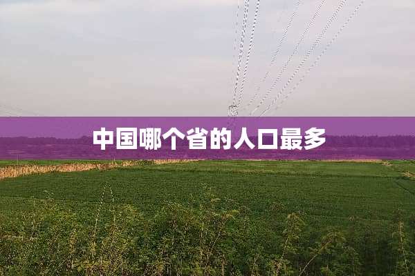 中国哪个省的人口最多