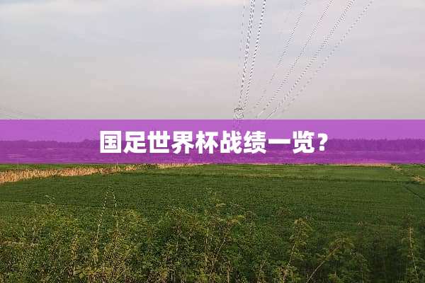 国足世界杯战绩一览？