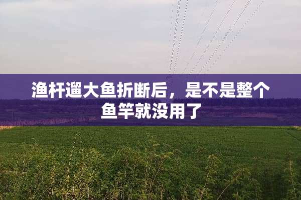 渔杆遛大鱼折断后，是不是整个鱼竿就没用了