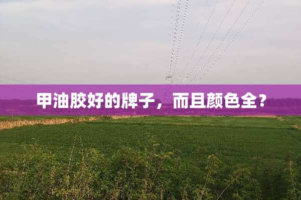 甲油胶好的牌子，而且颜色全？