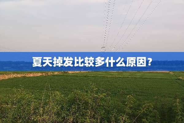 夏天掉发比较多什么原因？