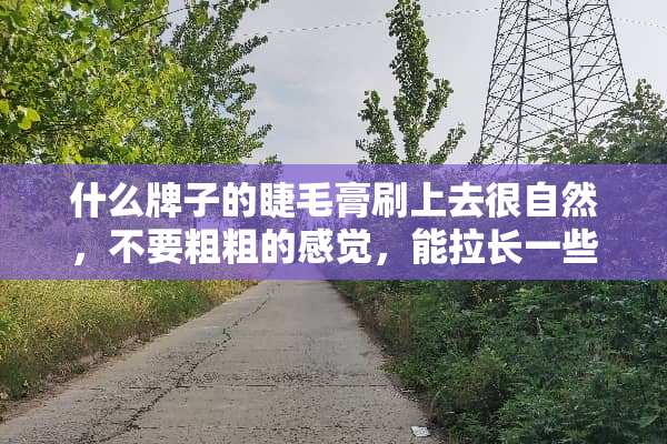 什么牌子的睫毛膏刷上去很自然，不要粗粗的感觉，能拉长一些就好？