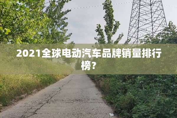 2021全球电动汽车品牌销量排行榜？