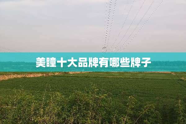美瞳十大品牌有哪些牌子