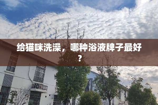 给猫咪洗澡，哪种浴液牌子最好？