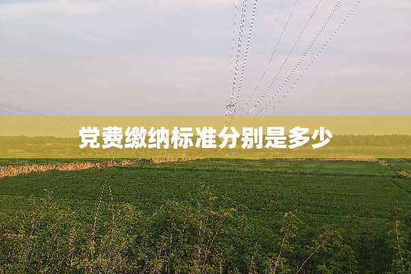 *费缴纳标准分别是多少