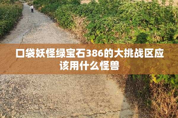 口袋妖怪绿宝石386的大挑战区应该用什么怪兽