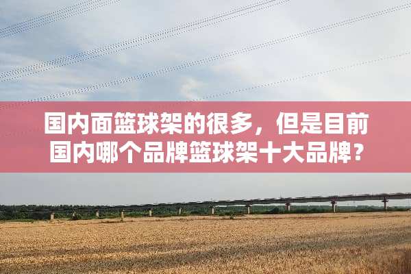 国内面篮球架的很多，但是目前国内哪个品牌篮球架十大品牌？