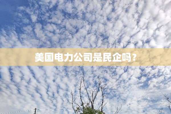 美国电力公司是民企吗？